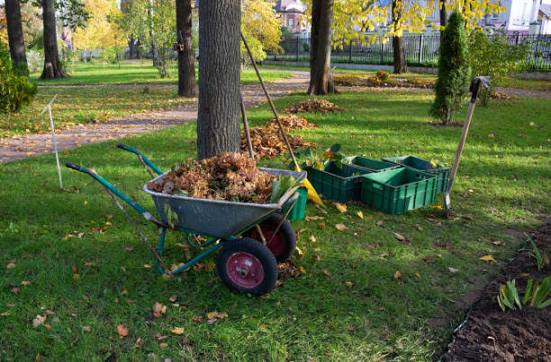 Hotel Landscape Maintenance