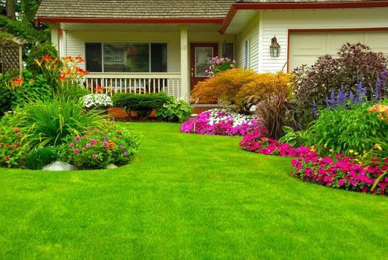 Residential Landscaping Ideas for Nigerian Homes